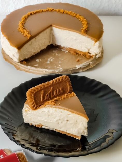 No bake cheesecake slice with caramel drizzle, a simple no bake dessert recipe for beginners